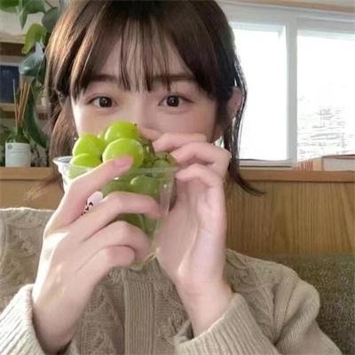 双生赤狐